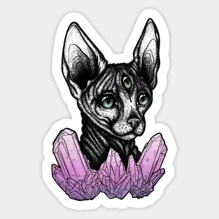 Galaxy Kat II Sticker